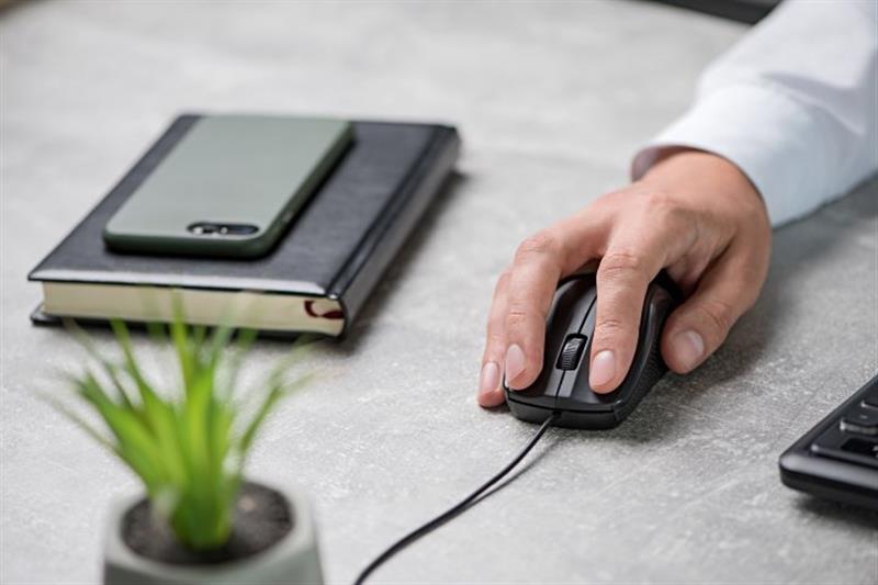 Изображение галереи